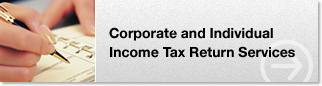 Corporate and Individual Income Tax Return Services